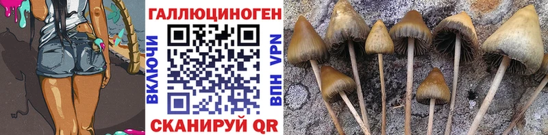 Псилоцибиновые грибы прущие грибы  Купить закладки  Избербаш 